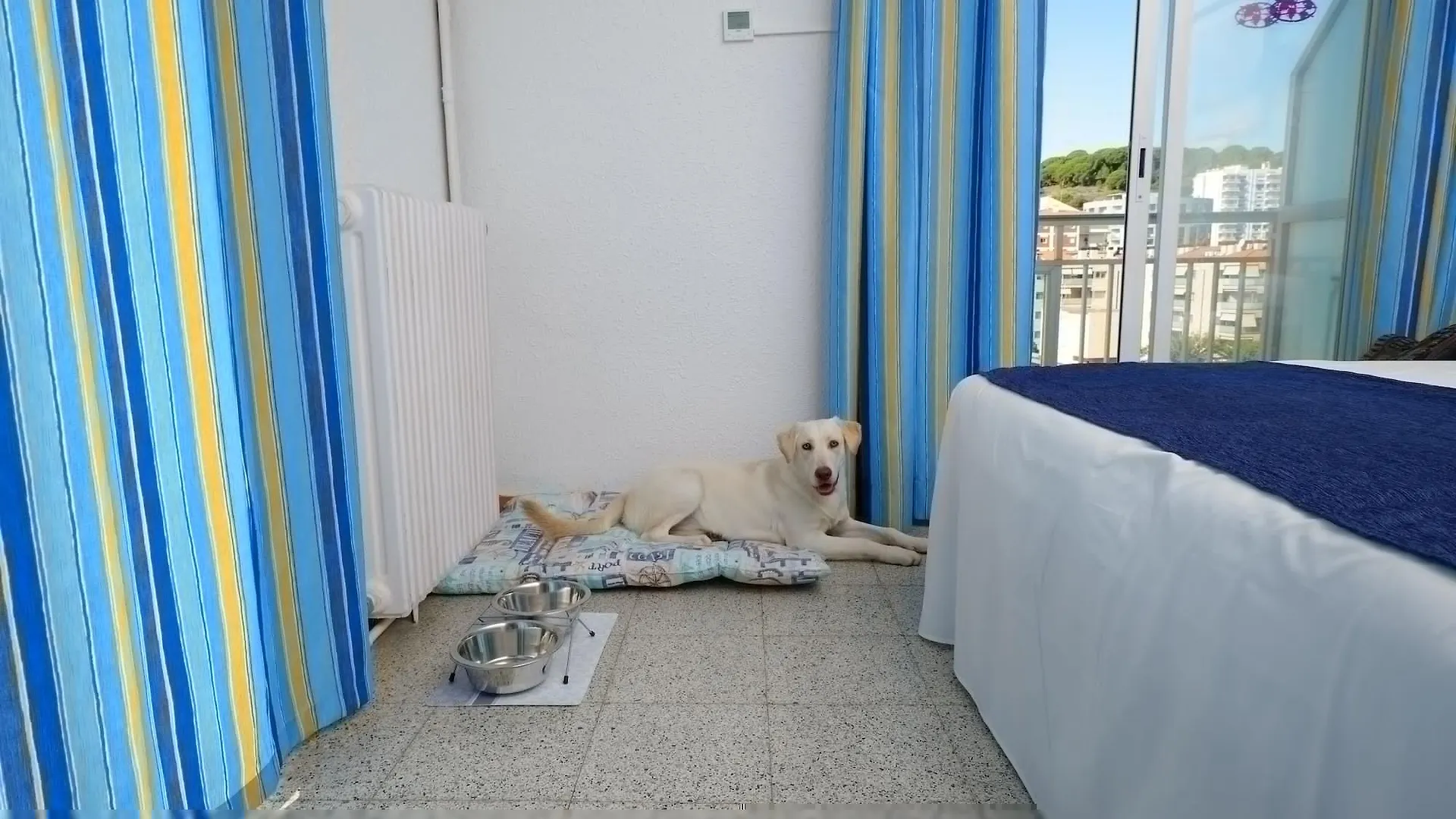 Hotel Internacional Calella 2*,  Spain